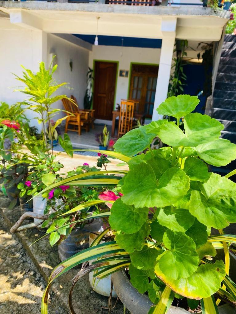 Mellow Homestay Ella Exterior photo