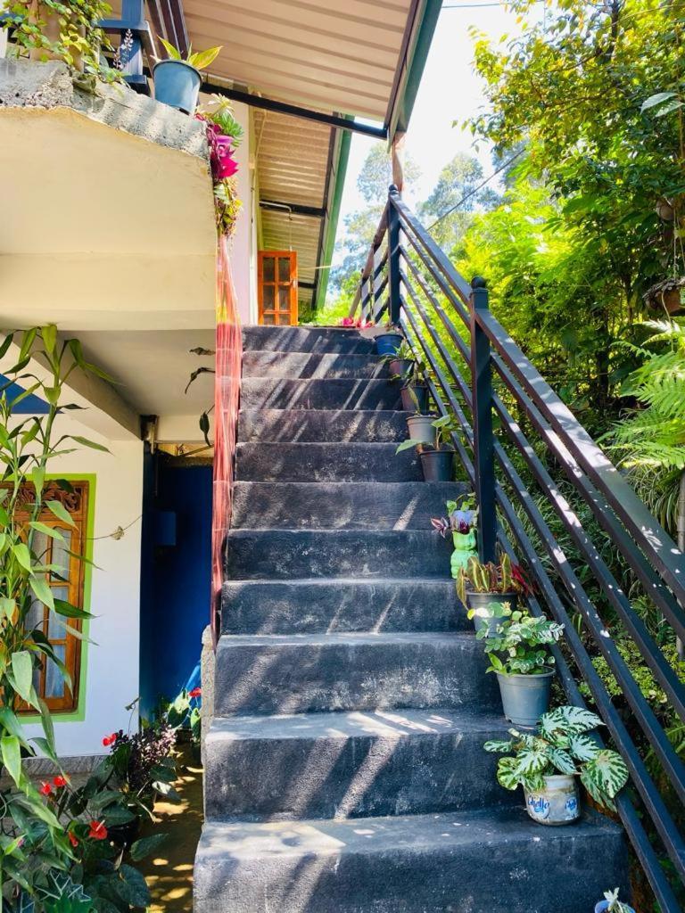Mellow Homestay Ella Exterior photo
