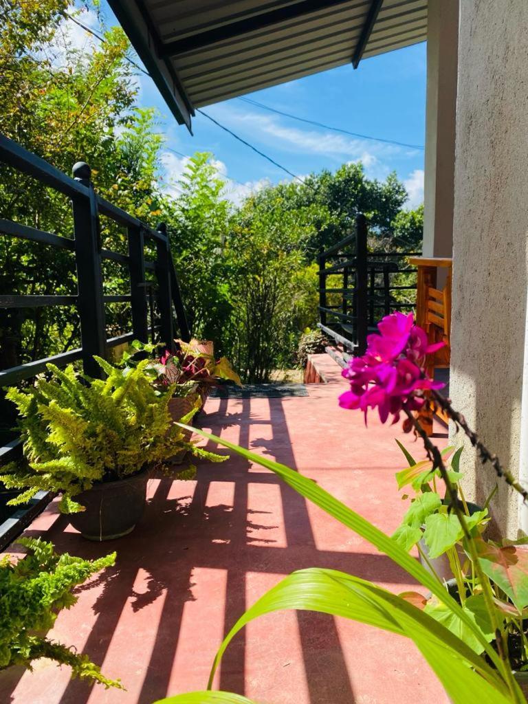 Mellow Homestay Ella Exterior photo