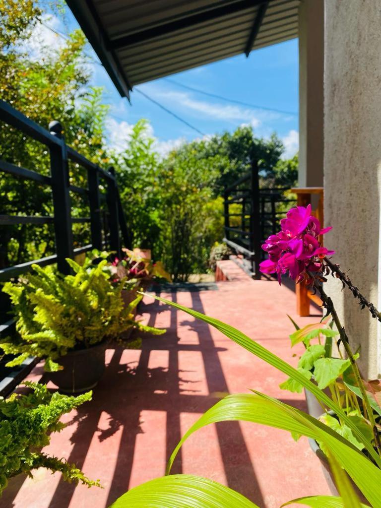 Mellow Homestay Ella Exterior photo